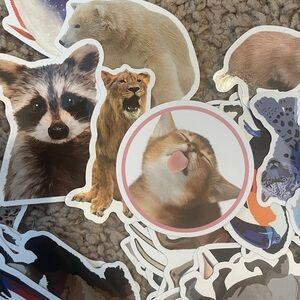 100 Animal‎ Themed Stickers